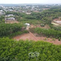 Cần Bán Gấp Miếng Đất Mặt Tiền Đường 30M Khu Dân Cư Thị Trấn Tân Phú