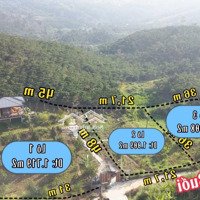 Bán Nhà Vườn 3,7 Sào, Có 3 Sổ Riêng (Bán Lẻ) Đ. B''lao Sê Rê, Đại Lào Tp. Bảo Lộc, Giá Lẻ 750 Tr/Sào