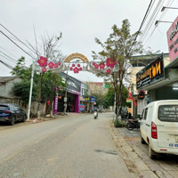 Bán Đất 125M2 Kinh Doanh Trục Chính Lam Sơn, Đồng Tâm, Vĩnh Yên