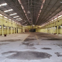 Cho Thuê Kho Xưởng 500M2; 1500M2; 2500M2 Đường Nguyễn Xiển, P. Long Bình, Quận 9