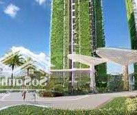 Cần Bán Căn Hộdiện Tích54M2 Đến 97M2 Lumi Boulevard Vinhome Grand Park Đóng 20% Nhận Nhà Ở Ngay E Phương