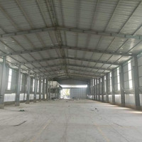 Cho Thuê Kho, Xưởng 2300M2 Ngay Linh Xuân, Tp Thủ Đức