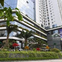 Nhanh Tay Nhận Ngay Ưu Đãi Thuê Văn Phòng Chuyên Nghiệp Tại Ecolife Capital, Giá Thuê Hấp Dẫn