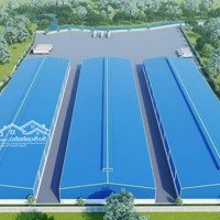 Bán Xưởng Phú Giáo Bình Dương 32000M2 Xưởng Mới Sạch Đẹp