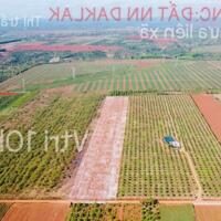 10ha đất đỏ bazan vuông vắn bằng phẳng tại Cư Mgar - Đăk Lăk