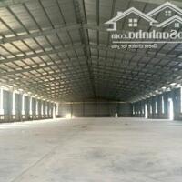 *Cho thuê kho xưởng, mặt bằng *3300m2 QL 51, Tam Phước, Biên Hoà, Đồng Nai