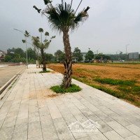 Duy Nhất 1 Sổ Giá Rẻ Nhất Lk4 Đường Nguyễn Tất Thành - Vị Trí Đẹp Nhất Dự Án Việt Trì Spring City