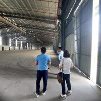 Cho Thuê 30.000M2 Nhà Xưởng Tiêu Chuẩn Tại Bắc Giang, Có Chia Lẻ Theo Yêu Cầu