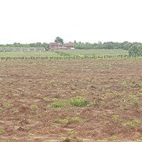 330.000M2 (33 Ha) Đất Cln Kinh Doanh Sản Xuất ( 195 Triệu/ 10.000M2)