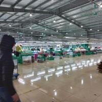 TRANSFER OF THE ENTIRE FACTORY in NAM DINH PROVINCE/南定省整个工厂转让