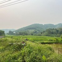 Chính Chủ Gửi Bán Lô Đất 575M2 Có 400M2 Tc View Cánh Đồng Tại Lương Sơn Hòa Bình