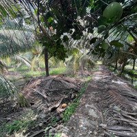 Bán Vườn Dừa 2500M2