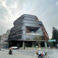 Cho thuê văn phòng tòa nhà Grand Terra 36 Cát Linh giá tốt DT 200m2 - 1880m2