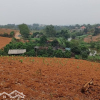 Bán Đất Thổ Cư Diện Tích Lớn Giá Đẹp Tại Minh Quang - Ba Vì