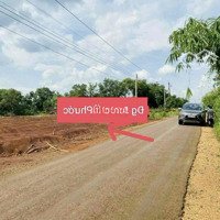 Đất Chính Chủ Giá Rẻ Ở Đồng Phú Có Sổ Hồng Riêng