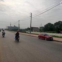 Bán đất mặt đường DT 310 Kim Long, Tam Dương, Vĩnh Phúc. DT 124m2 giá 3.25 tỷ