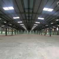 Cho thuê kho 1800m2, 4000m2, 5000m2 tại KCN Hòa Khánh, Liên Chiểu, Đà Nẵng