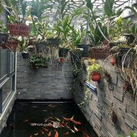 Biệt Thự Sài Gòn Mystery Villas Ngay Đảo Kim Cương, Quận 2-Diện Tích10X16 Giá Bán: 37 Tỷ Tl