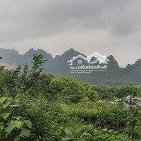 Chủ Nhờ Bán 1222M2 Đất Thổ Cư View Triệu Đô Tại Lương Sơn Hòa Bình
