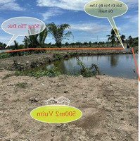 Lô Vườn Ngộp 239 Triệu Có 500M2 Đường Xe Máy Cách Ô Tô 300M Lạc Tấn