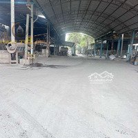 Bán Xưởng Phước Tân, Đất Đã Lên Skc, Điện 1500Kva