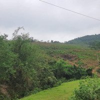 Cần Chuyển Nhượng 20,8 Ha Đất Làm Trang Trại Tại Xã Phú Minh Thành Phố Hòa Bình