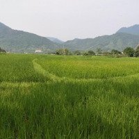Bán Đất F0 Giá Rẻ 1400M2 Tại Đà Bắc, Hòa Bình