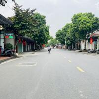 Bán 2 lô đất mặt đường 208, trung tâm thị trấn An Dương tổng diện tích 261m giá chỉ 40tr/m LH 0979087664