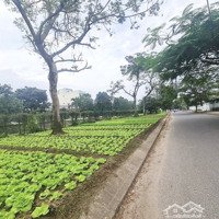 Đất Mặt Tiền Hòa Minh View Kênh Sinh Thái, Ngang 5.5M Nổi Bật