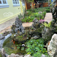 Villa Sân Vườn View Thoáng Đẹp Phù Đổng Thiên Vương, P8, Đà Lạt, 368M2 Full Thổ Cư, 27Tỷ