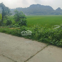 Đất View Đồng Giá Rẻ Lương Sơn, Hoà Bình