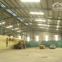 Cho Thuê Kho Xưởng Tại Kcn Thạch Thất Quốc Oai, Diện Tích: 1500M2, 2400M2, 5000M2