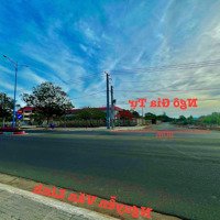 Bán Gần 3000M2 Đất Kế Trường Học Tại Thị Trấn Phước Hải, Quy Hoạch Full Thổ Cư