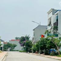 Chính chủ bán nhanh Lô 108m. MT6m KDC Đồng Hin Vĩnh Yên view vườn Hoa nhỉnh 2,1 tỷ 0988296228