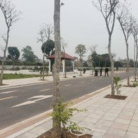 Bán Đất Xuân Phương Complex, Phú Bình, Thái Nguyên, Lô 5 - 9. Giá 900 Triệu