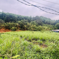 Chuyển Nhượng Đất Thổ Cư Gần Đường Cao Tốc Hòa Bình Hòa Lạc Tại Quang Tiến, Kỳ Sơn, Tp Hòa Bình