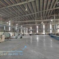 Cho thuê  4000m2 , 8000m2 Xưởng KCN Bầu Bàng Gía rẻ ,  PCCC tự động ,tiếp đa nghành nghề