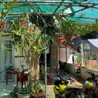 8,8 sào nhà đẹp 3 phòng ngủ giá rẻ tại thành phố Gia Nghĩa tỉnh Đắk Nông