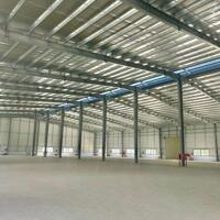 Cho thuê Kho xưởng KCN Vinatex Nhơn Trạch, ĐN. dt từ 1000m2 -10.000m2.