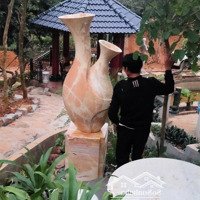 10.000M2 Giá Bán 4 Tỷ 500 Triệu - Khu Nghỉ Dưỡng Homestay, Thiết Kế Nhà Vườn Cổ Điển Tại Tp Tam Điệp