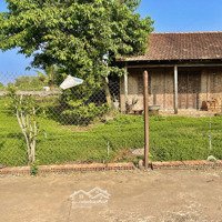 "Khám Phá Khu Vườn Xanh Mát" Giá Chỉ 700 Triệu/1000M2 Tại Đồng Nai!