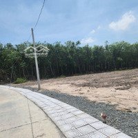 Đất Sào Sổ Hồng Từ 500 - 1000M2 Phường Minh Hưng