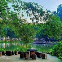 Rổ Hàng Giá Gốcchủ Đầu Tưceladon City Tân Phú