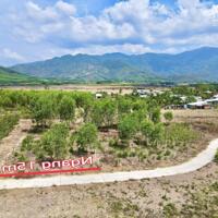Bán đất vườn Diên Tân quy hoạch full thổ cư sát bên Hương Lộ 62 - đường bê tông 5m