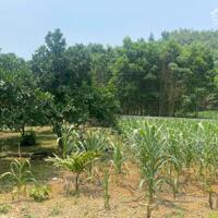 Cần bán lô đất có sẵn khuôn viên tại Tu Lý huyện Đà Bắc Tỉnh Hòa Bình