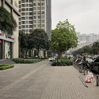 Chính chủ bán căn hộ tòa A1 VinHomes Gardenia, mặt đường Hàm Nghi, Nam Từ Liêm, Hà Nội