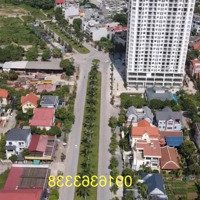 Bán Đất Biệt Thự Khu Đô Thị Bình Minh, Phường Đông Hương