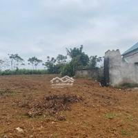 Cần Tiền Bán Nhanh Hơn 3000M2 Đất Thổ Cư Giá Cực Rẻ Tại Cao Phong, Hòa Bình