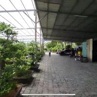 Bán 5000M2 Nhà Xưởngmặt Tiềnxương Cá 2, Nhà Bè Hcm 70 Tỷ