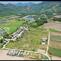 Mua Đất Vườn Sẵn Thổ Diên Tân Bằng 50% Giá Đỉnh